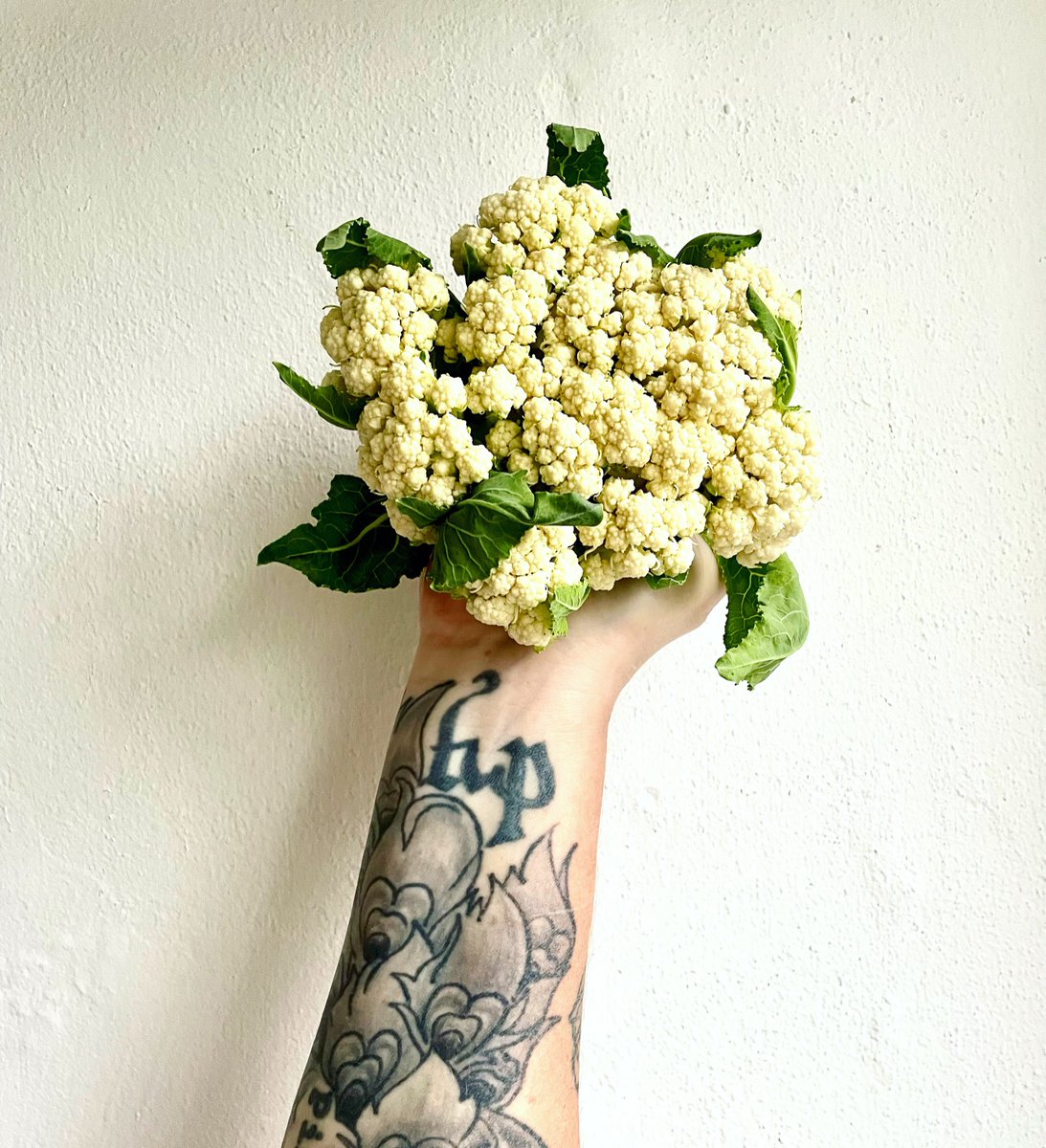 Rose_Mentink's tweet photo. Dit lekkertje, vers uit de tuin, eten we vanavond op, samen met de broccoli die ernaast stond en de laatste tomatensaus van de oogst van twee jaar geleden #weckpot https://t.co/Xyuhne4dW9
