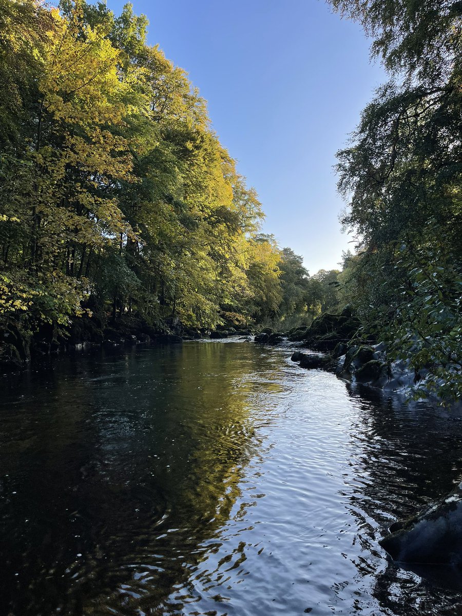 SBayleySlater's tweet photo. A quick nip down to the river before work on a very beautiful autumn morning in Scotland 🏴󠁧󠁢󠁳󠁣󠁴󠁿 🍂 ☀️ 
Wish I was working on a river rather than behind a computer today!
#riverdeveron #GWCTfisheries #SAMARCH #scicomm #missingsalmonalliance
🐟 🐟 https://t.co/r3jYurqfCW