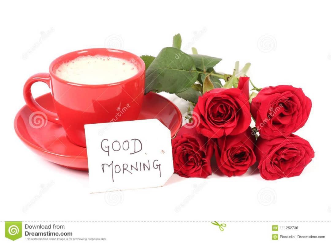 tonysteve4483's tweet image. Good morning to everyone here on Twitter.... Have a wonderful day 😇😇