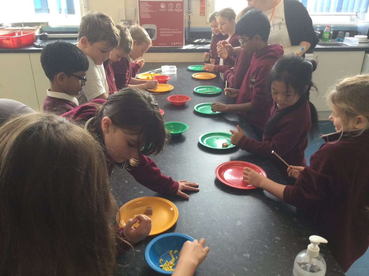 ThamesideSch's tweet photo. Our Key Stage 2 values ambassadors have enjoyed designing their own fudge with Victoria from Victoria Sponge and more #lovefudge #awesometreat #tasty #valuesambassadors @victoriaspongeandmore https://t.co/BBVIk1oZwO