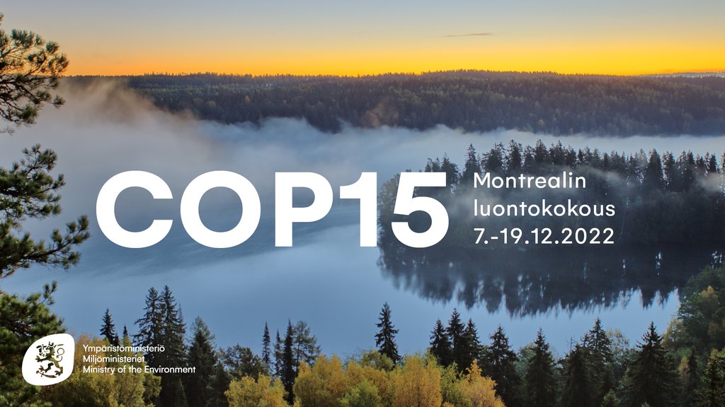 Maailman tärkein luontokokous eli YK:n biodiversiteettisopimuksen osapuolikokous lähestyy. Suomi otti kantaa EU:n neuvottelukantoihin ja toivoo EU:lta edelläkävijyyttä.

🔗 E-kirje eduskunta.fi/FI/vaski/Kasit…

🔗 Kokoussivu ym.fi/montrealin-luo…

#LuontoCOP15 #luontokato