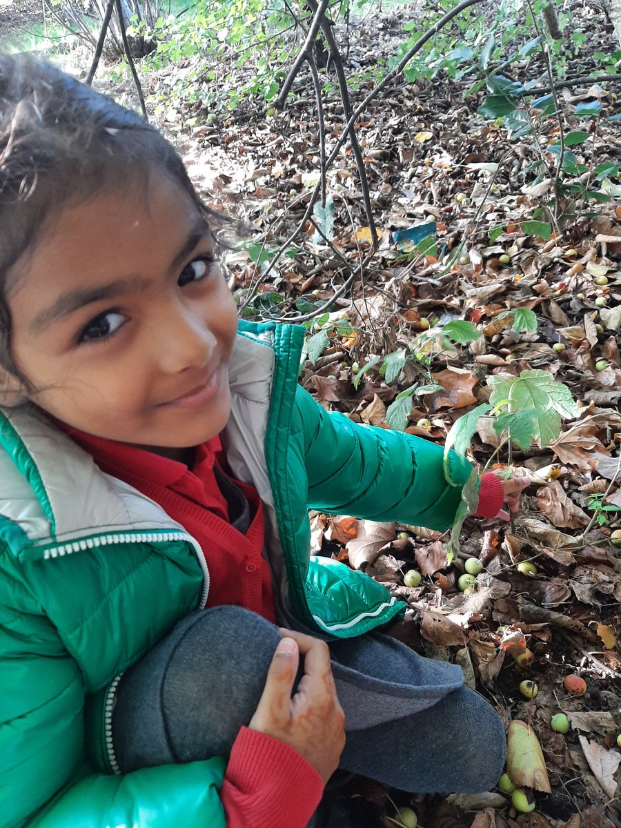 MsDunne24's tweet photo. We have been exploring Forest School to learn about the different types of trees and their features. We even found some seedlings like the ones planted in our story Wangari's Trees of Peace. https://t.co/PKB6RjzbYf