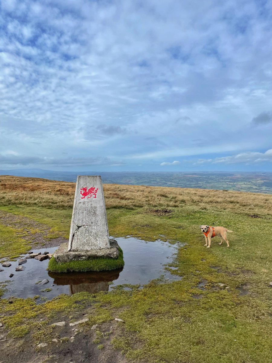 Lisa, The Beast & Billy tweet media