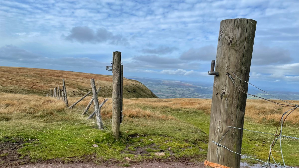 Lisa, The Beast & Billy tweet media