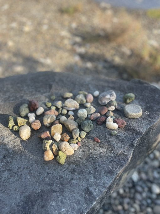 Because it&rsquo;s 2am and I don&rsquo;t sleep, did you know my kiddo and I love rockhounding? If you know how to<a href="/tag/mvsales"class="tags"><span>#mvsales</span></a>