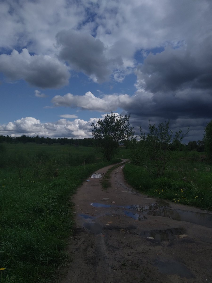 Акита Миё 🦋 || мертва tweet media