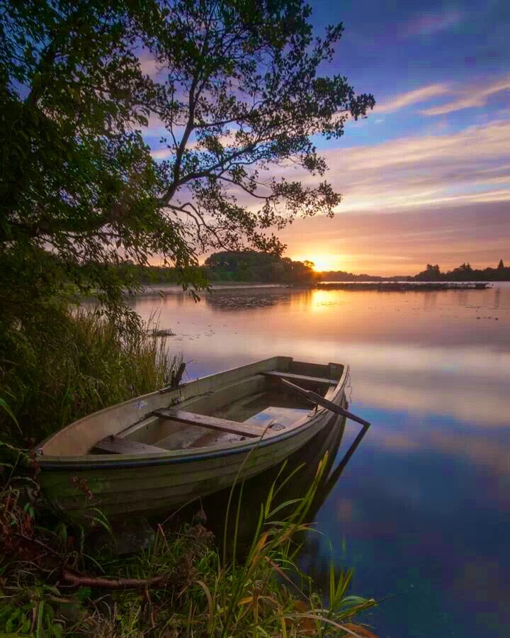 New day 
New week
New possiblities
Good morning✨😊