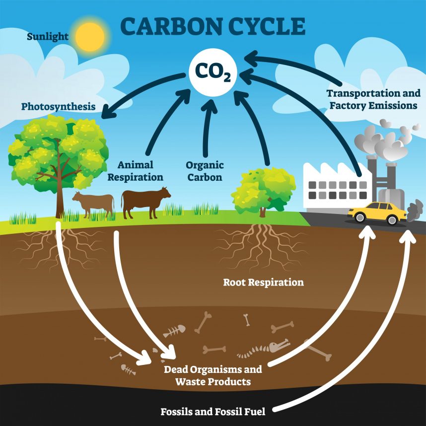 [ESG] How ITK creates new opportunities to reduce carbon in food supply chain, without reducing agricultural production.

itk.fr/en/news/itk-cr…

#SIAL2022 #SialParis @SIAL #ESG #GHGEmission #carbon #impact #GHG #climate #Agtech #Foodtech #FrenchTech #netzero #Sustainability