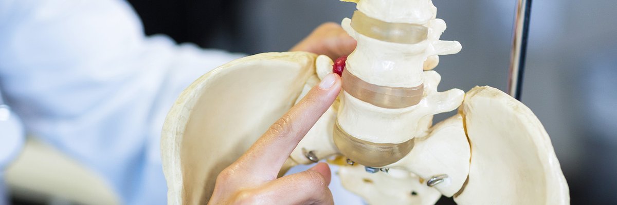 École d'Assas tweet media