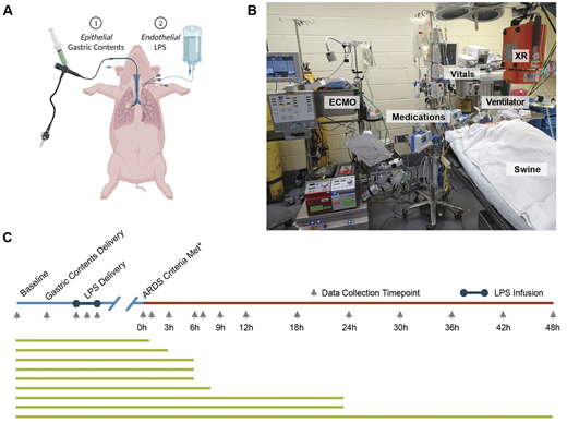 DMM_Journal's tweet photo. A new paper from @GVNlab describes a clinically relevant 🐖model of acute respiratory distress syndrome:
📰https://t.co/umExvemcAj
#OpenAccess #ARDS #LargeAnimalModels https://t.co/6ZeHfTWUQG
