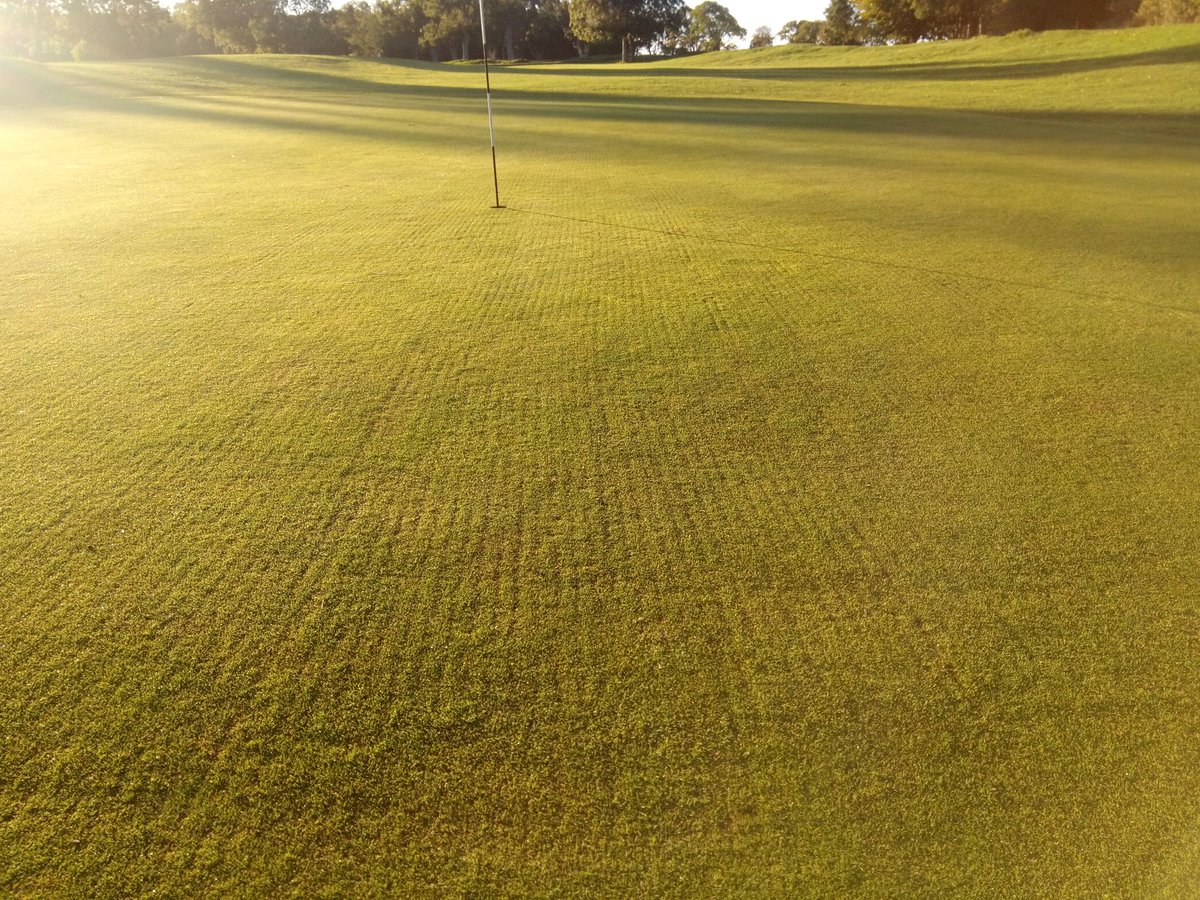 Finished scarifying the greens today, just need to over seed and top dress and brush in tomorrow.