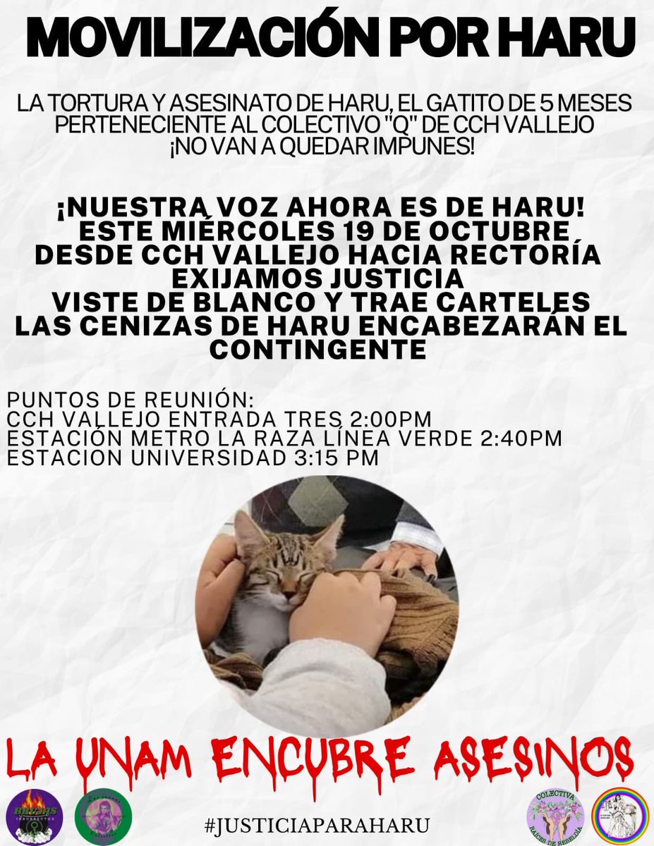 Brujas Insurrectas FES ACATLÁN tweet media