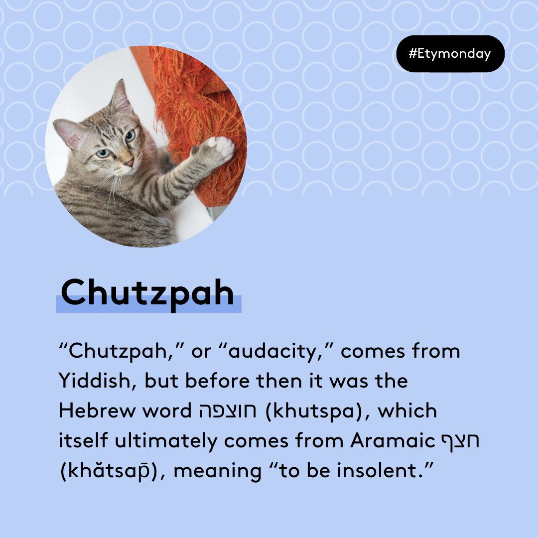 Chutzpah Meaning 