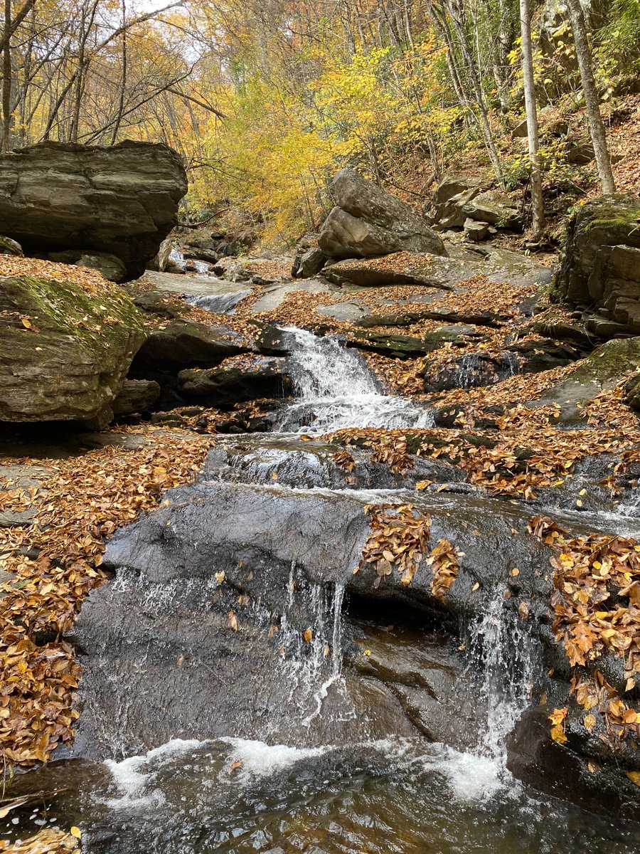 SERMEISS1's tweet photo. #Sermeiss2022 — That’s a wrap. The fall foliage and waterfalls would like to take a bow. Thanks for a great conference. See you next year! https://t.co/iIvzCC8wiM