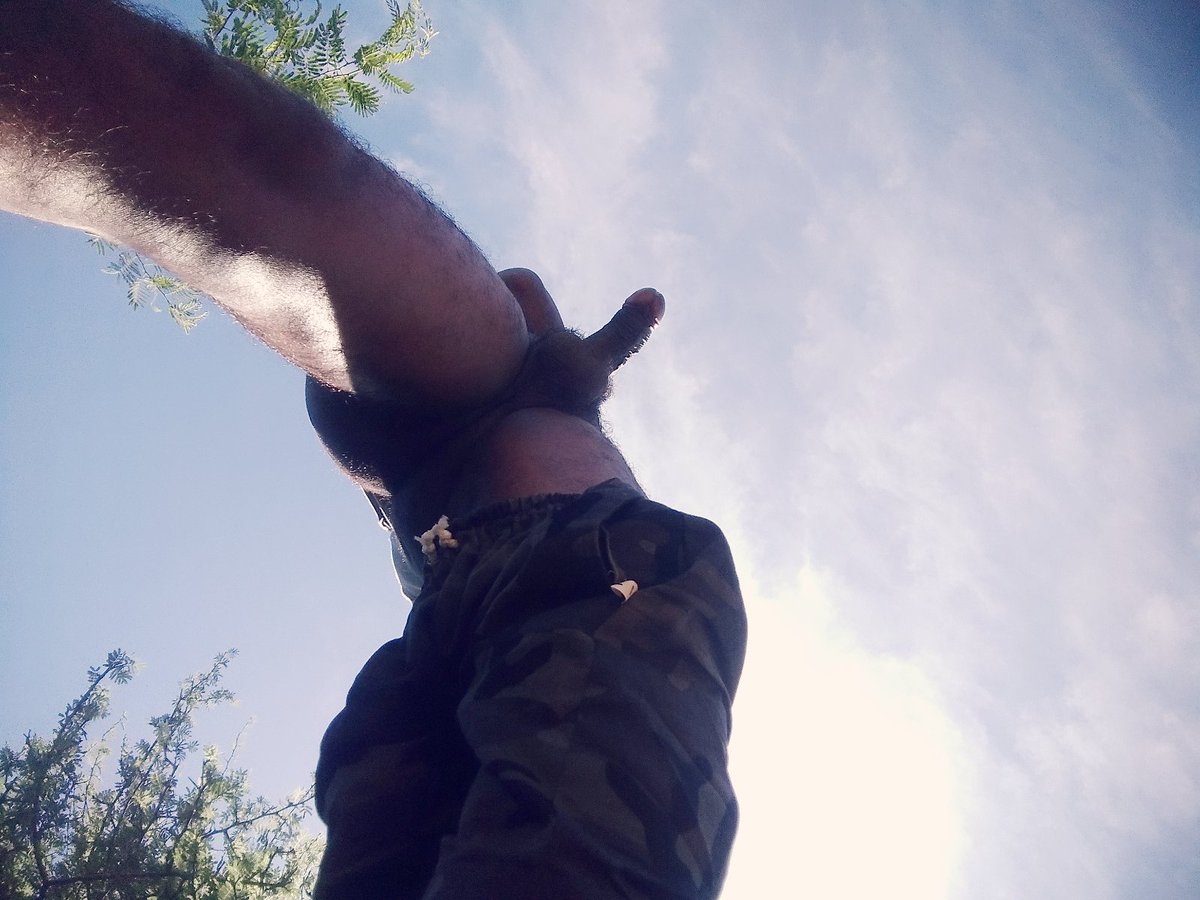 Straight Hunter tweet media