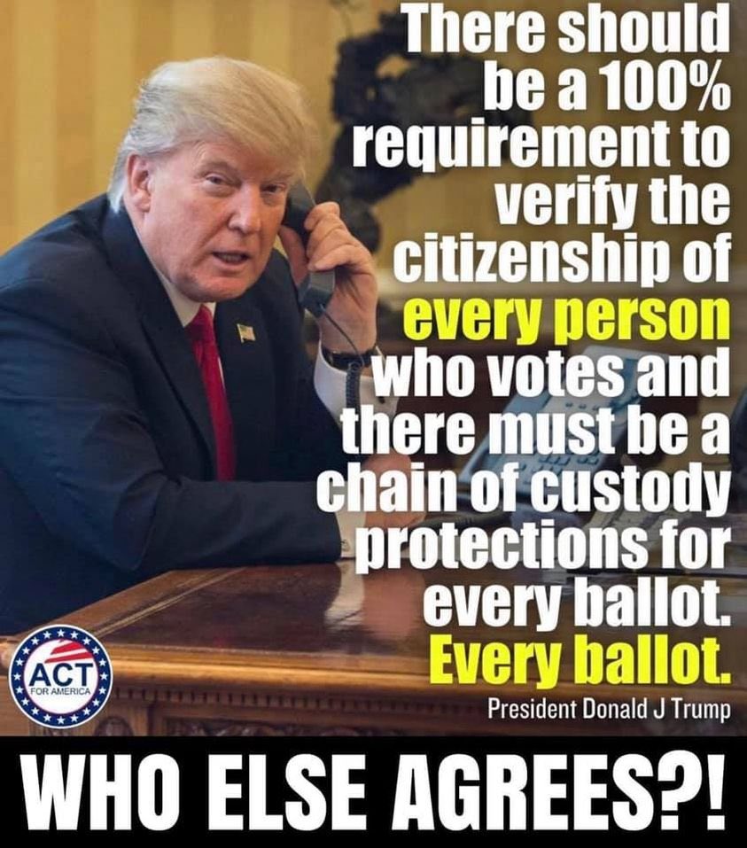 Ilegvm's tweet photo. There must be a unwavering commitment to election integrity to ensure America stays free. 

Retweet if you agree 👇👇👇 https://t.co/BdkICR8HyL