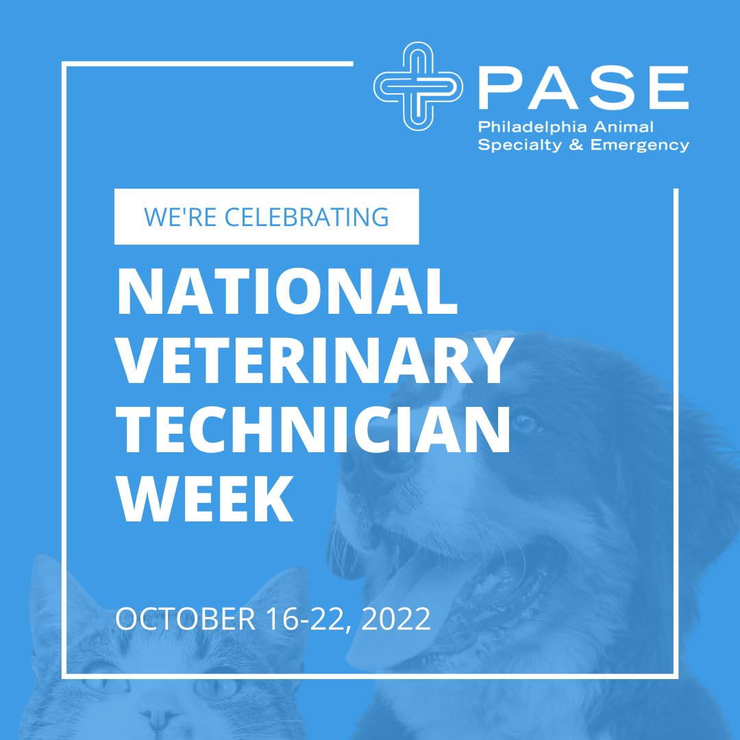 PASEVets's tweet photo. Happy #NationalVeterinaryTechnicianWeek, everyone! 🐾 October 16-22, 2022

To our entire #vettech team at PASE: Thank you! Thank you for all that you do each and every day for our clients (owners &amp; fur babies!), staff, and our entire PASE community. We are so grateful you! 💙 https://t.co/JjPDctG0Pn
