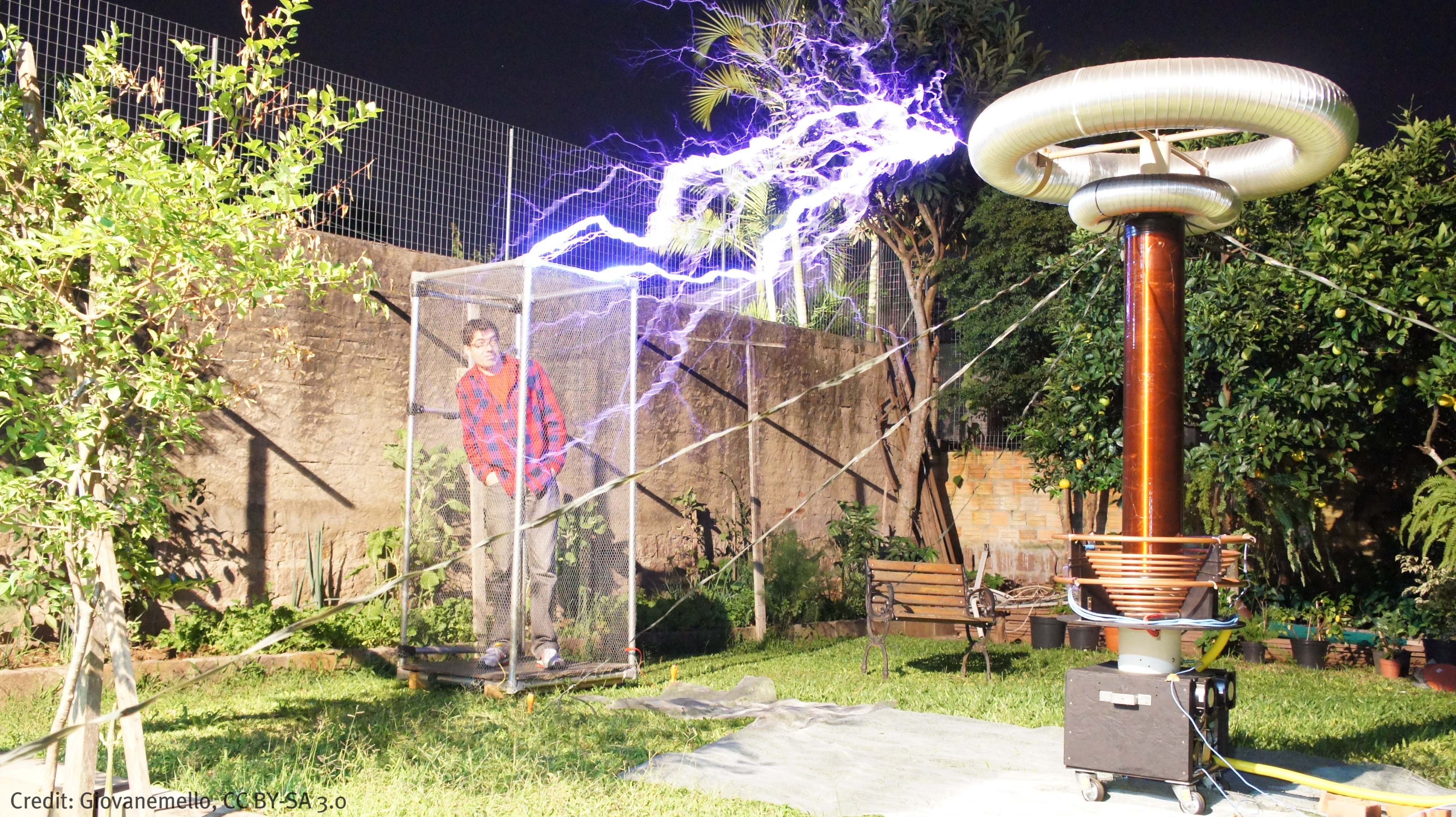 Royal Institution on X: The Faraday cage may be one of the great natural  philosopher's most famous inventions (might be because of the name). But  how does it work? #Thread  /