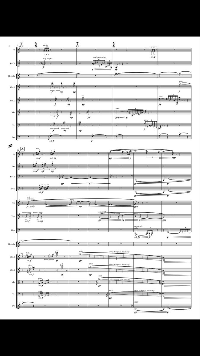 AlexHoComposer's tweet photo. Incoming @MancCamerata !!!

V nice feeling to have put the finishing touches on Carved in Gorton Stone for sinfonietta ☺️🎶

Inspired by the work MC do in their communities and commissioned with @RoyalPhilSoc 💕🙏 prem next month with @EllieSlorach 😇 https://t.co/GIbxibUfI3