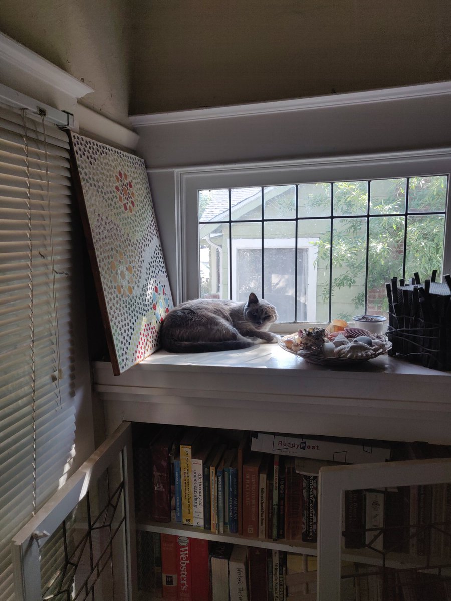 originalfreckle's tweet photo. @TheBlackNerd my cats say "take it easy!" and "nap in the sun" https://t.co/VkNlFFEJqn