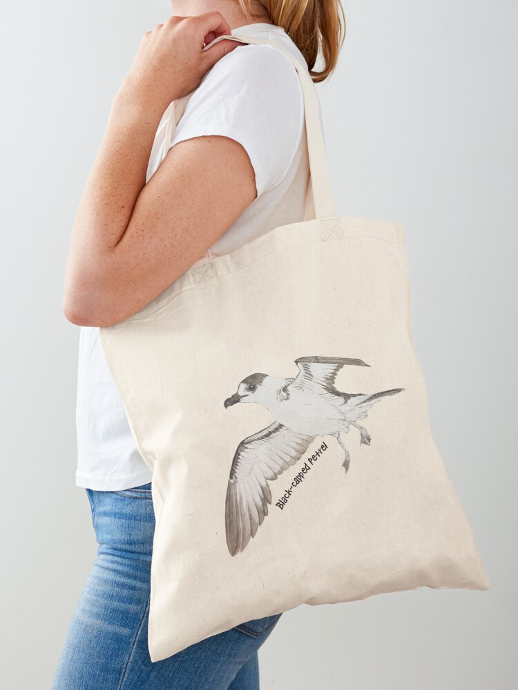 Esteban_birds's tweet photo. where are the seabird lovers? 👨🏽🎨 ☺️ 🥳 🤔 here I leave this "Diablotín" #blackcappedpetrel You can go to the link and see all the things to express our love for birds especially #seabirds https://t.co/rBKEevcpMG
#birdslovers https://t.co/ToKTzeWqu6