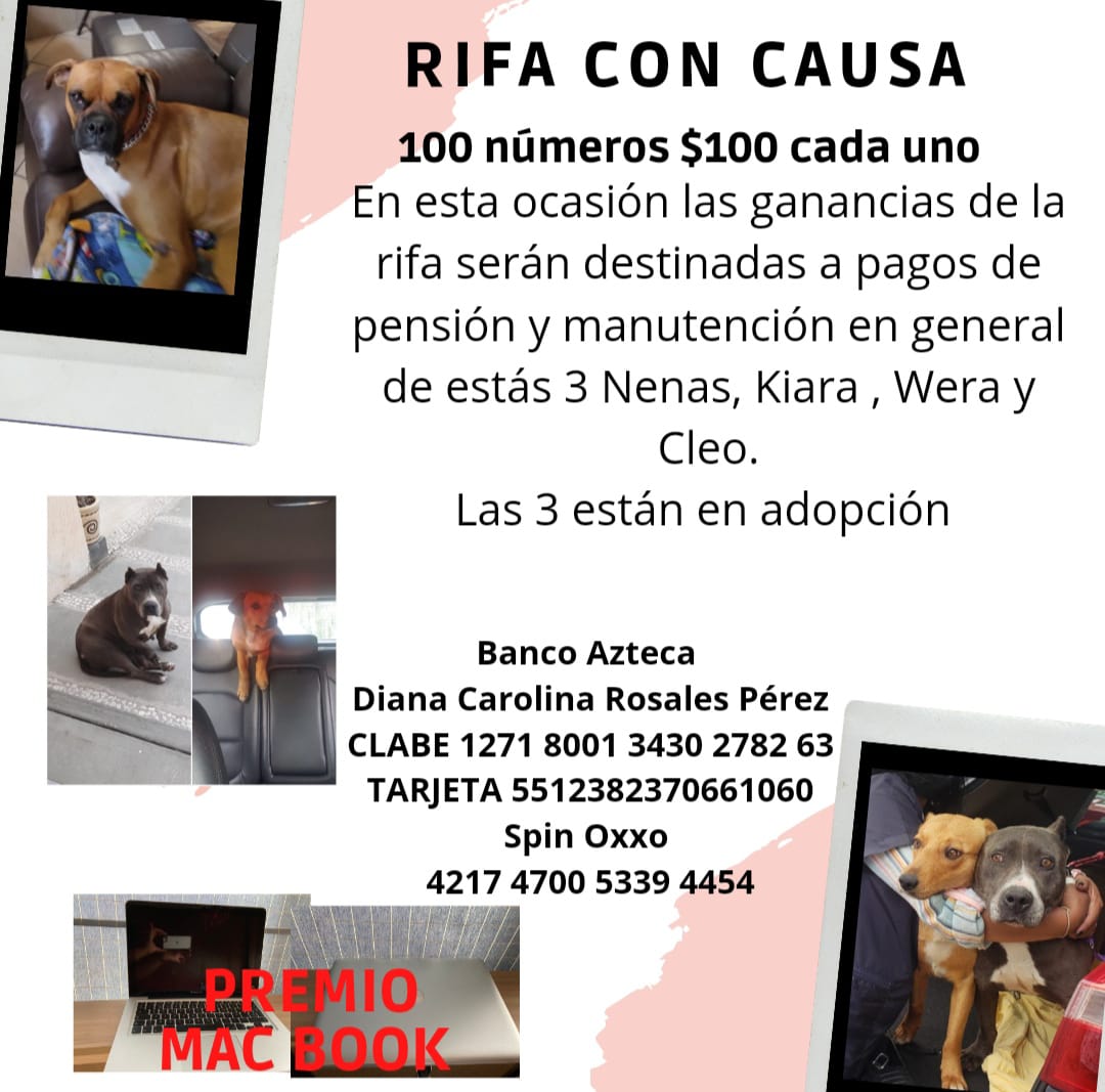 VIBRAmascotas's tweet photo. Auxilio!!! Solo hemos vendido 3 boletos 🥺😭😭😭 https://t.co/WIHuvquArr