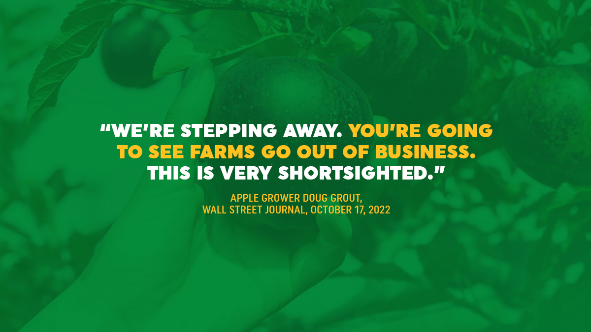 GrowNYFarms's tweet photo. This new @WSJ story from @JimmyVielkind highlights the concerns of third-generation apple grower Doug Grout and the challenges that a lower OT threshold will bring for both farmers and farm workers. https://t.co/ZjP6yXg5VV #StayAt60 https://t.co/m7CcxiT1PL