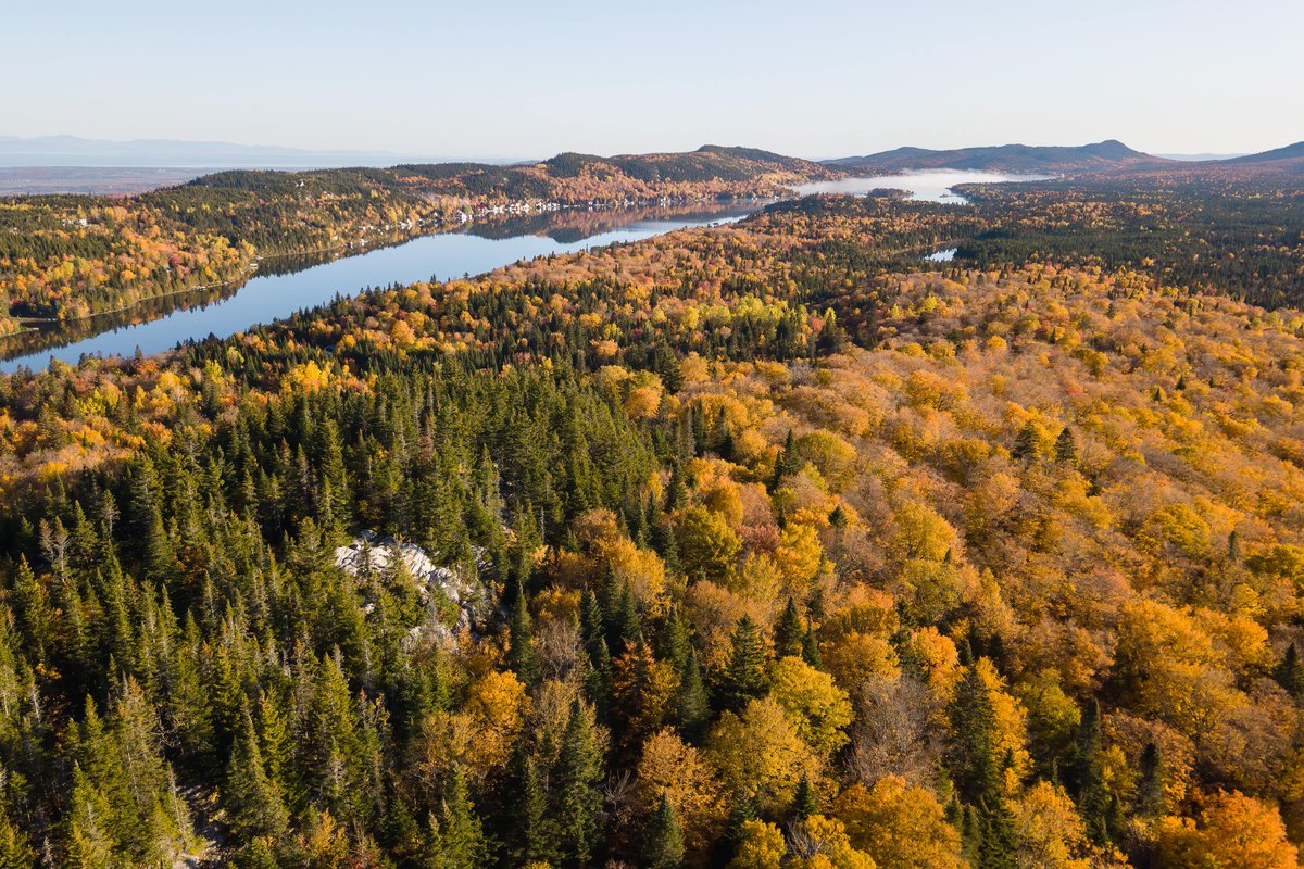 tourismlislet's tweet photo. La splendeur de l'automne ! 🧡
🍂 Découvrez 6 activités à faire chez nous lors de vos escapades automnales : https://t.co/b6UX4k13V9
#destinationlislet #regionnaturelle #pleinair https://t.co/Nj6Onx3sZR