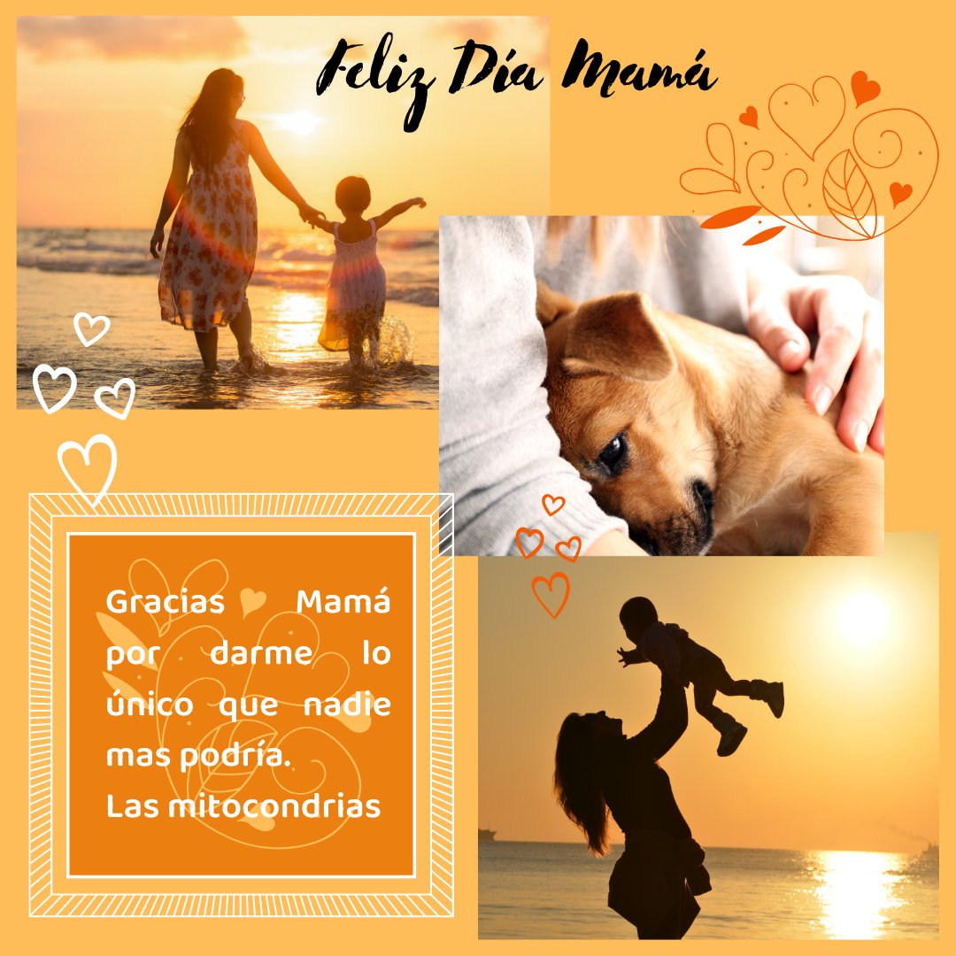 optim_web tweet picture