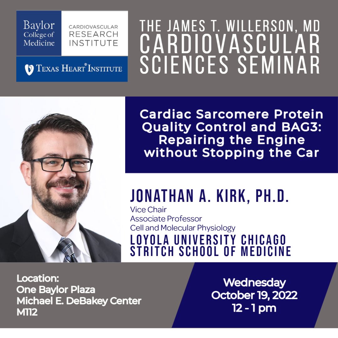 BCM_CVRI's tweet photo. We are excited to host @jonathankirk from @LoyolaChicago as this week's #JTWillerCVSeminarSeries invited speaker. Join us Wednesday at noon at Main Baylor in Room M112 and learn about #sarcomere protein quality control and #BAG3. https://t.co/nHTpwxqwQE