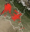 Prof Ravindra Khaiwal (@khaiwalpgi) on Twitter photo Today we observed a clear peak of crop residue burning. Combined ~500 fire-counts 🔥 observed over Punjab & Haryana. But Cities own emissions are the main reason of poor air quality <a href="/sumanmorpu/">Prof. Suman Mor</a> <a href="/PIBChandigarh/">PIB in Chandigarh</a> <a href="/PIB_India/">PIB India</a> <a href="/CBC_Chandigarh/">Central Bureau of Communication, Chandigarh</a> <a href="/CMOPb/">Lucky Singh</a> <a href="/cmohry/">CMO Haryana</a> <a href="/ArvindKejriwal/">Arvind Kejriwal</a> <a href="/VigyanPrasar/">Vigyan Prasar</a> Today we observed a clear peak of crop residue burning. Combined ~500 fire-counts 🔥 observed over Punjab & Haryana. But Cities own emissions are the main reason of poor air quality <a href="/sumanmorpu/">Prof. Suman Mor</a> <a href="/PIBChandigarh/">PIB in Chandigarh</a> <a href="/PIB_India/">PIB India</a> <a href="/CBC_Chandigarh/">Central Bureau of Communication, Chandigarh</a> <a href="/CMOPb/">Lucky Singh</a> <a href="/cmohry/">CMO Haryana</a> <a href="/ArvindKejriwal/">Arvind Kejriwal</a> <a href="/VigyanPrasar/">Vigyan Prasar</a>