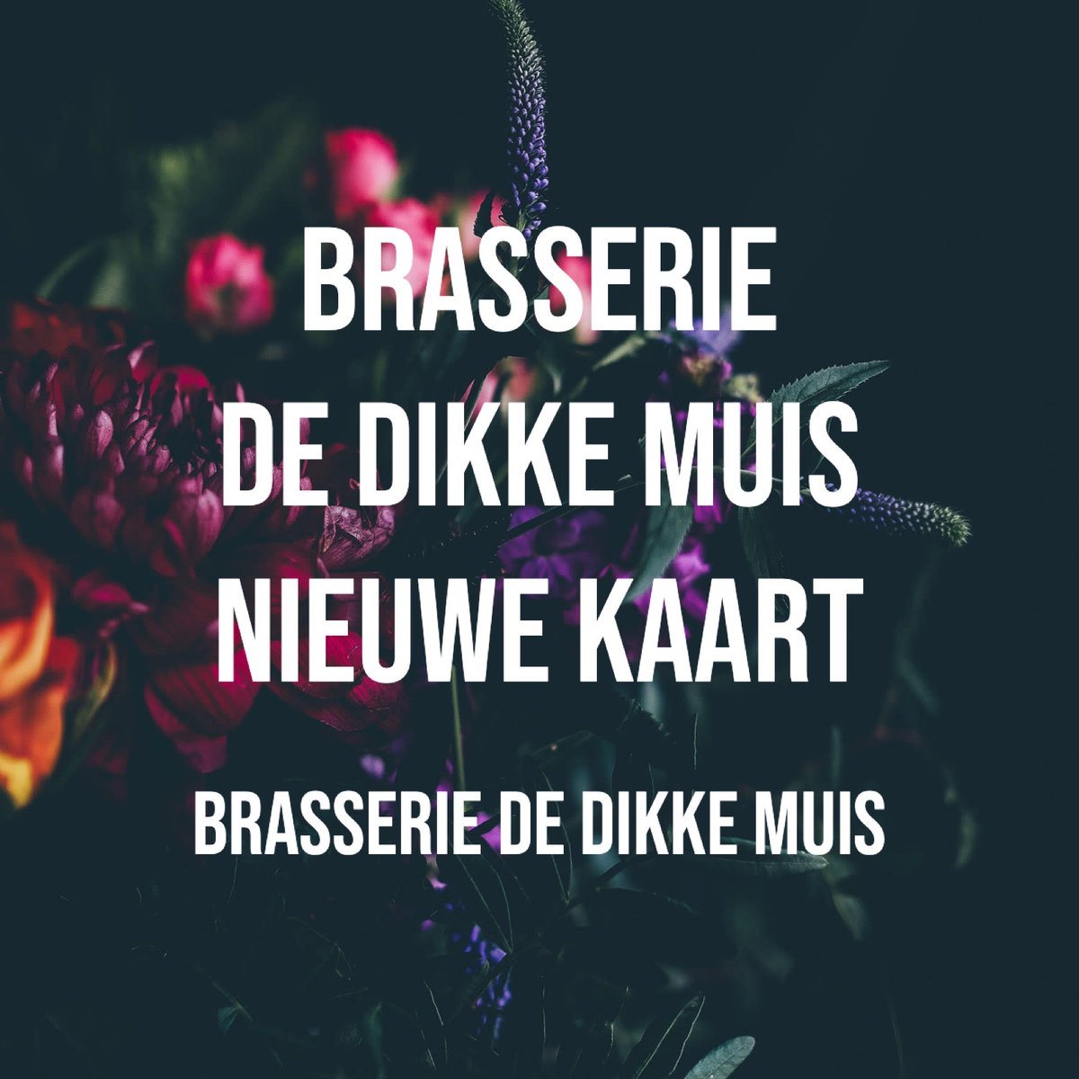 @BrasserieDeDiikeMuis @Loosdrecht