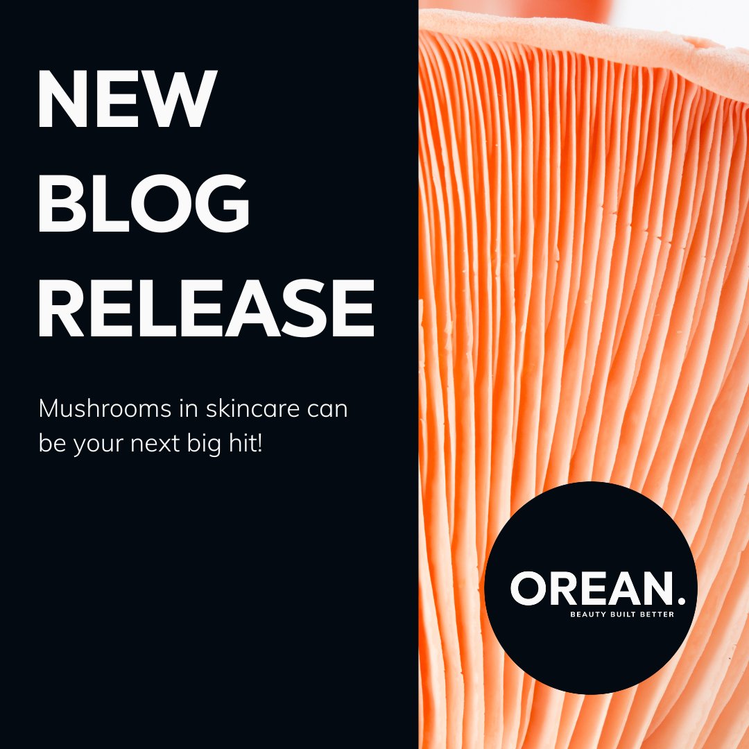 weareorean's tweet photo. Make shroom for fungi in your next skincare product! 

Our newest blog covers all the important information you need to know why mushrooms in skincare can be your next big hit.

Mushrooms' extracts are fastly becoming a staple ingredient in skincare. Read our blog. #blogpost https://t.co/8ykDQSS6tq