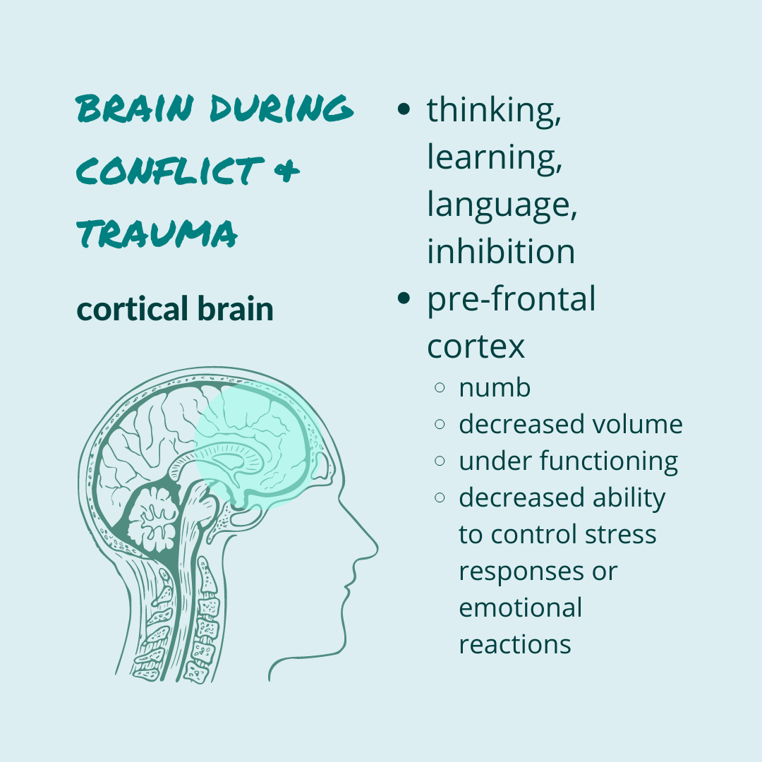 Having a hard time concentrating?  This might be why...  youtu.be/ri9p2IpujhA  #calmconflict #neuroscience #selfcarecoach #conflictcoach #traumacoach #nervoussystem #fight #flight #freeze #trauma #conflict #prefrontalcortex #thinkingbrain #executivefunctioning #thinking #learn