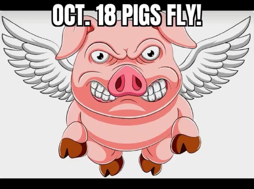 Drip3377's tweet photo. 24 hours &amp; Blast Off!!  #Drip #AnimalFarm #defi #bitcoin #financialfreedom  #hydrate https://t.co/aqdaAdLZIY