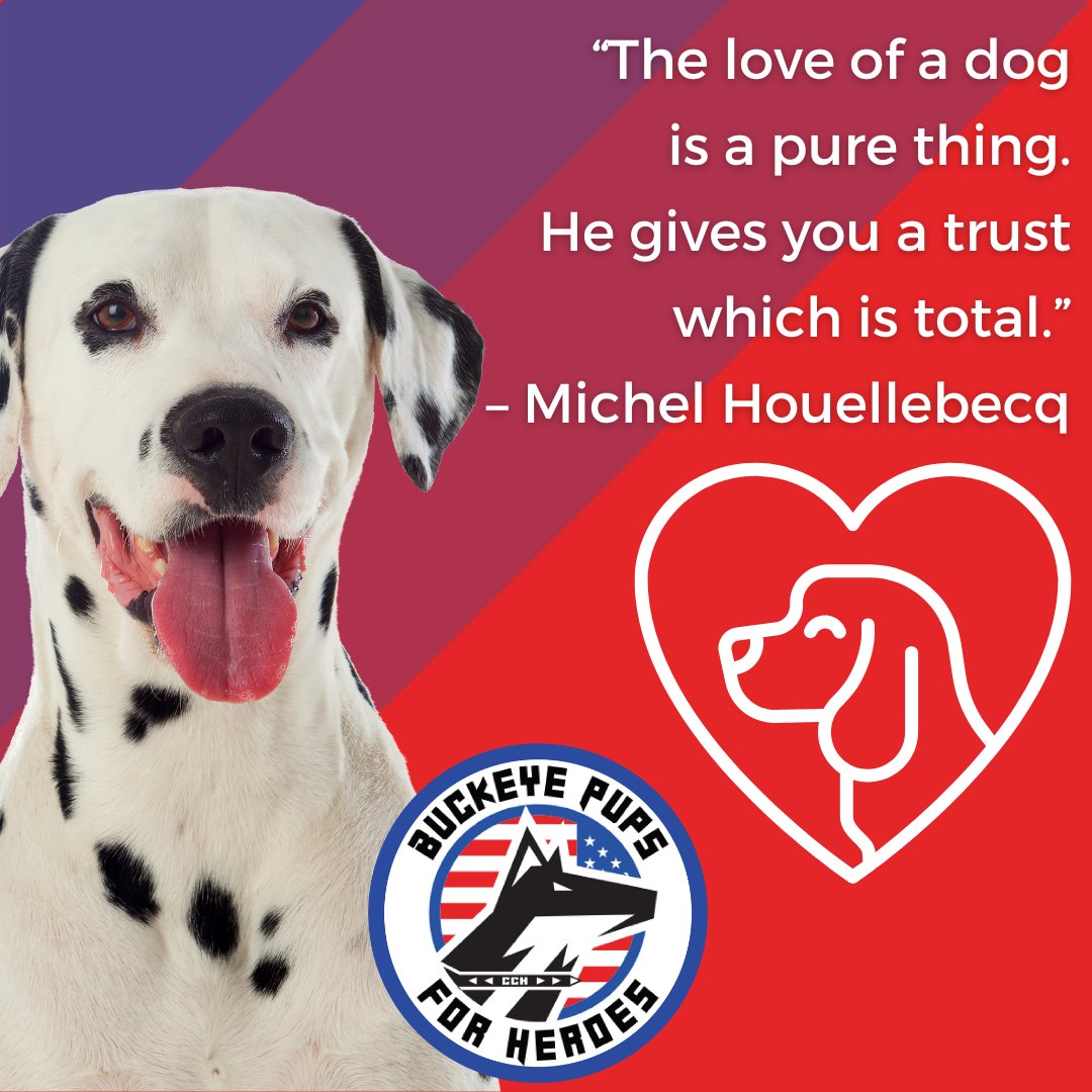 PupsBuckeye's tweet photo. A strong bond is a beautiful thing.

We get so much joy watching the bond form between veterans and their faithful service dogs. 

#BuckeyePupsForHeroes #ServiceDogs #Veterans https://t.co/x9cvUO5ohg