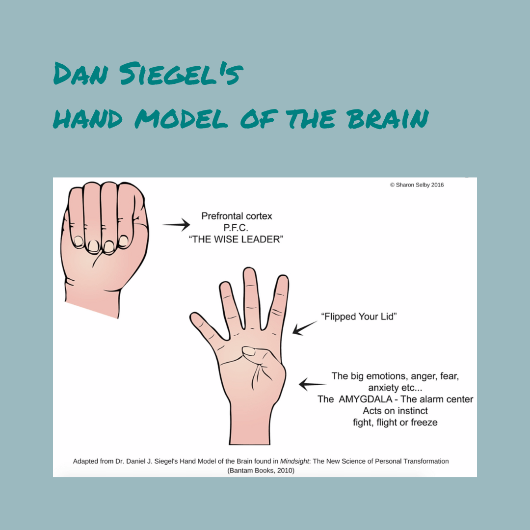 What can you do to help people to feel safe? traumainformedsolutions.com/presentations/… <a href="/drdansiegel/">Daniel J. Siegel</a>
#calmconflict #neuroscience #selfcarecoach #conflictcoach #traumacoach #nervoussystem #fight #flight #freeze #trauma #conflict #thinking #flipyourlid #handmodelofthebrain #amygdala