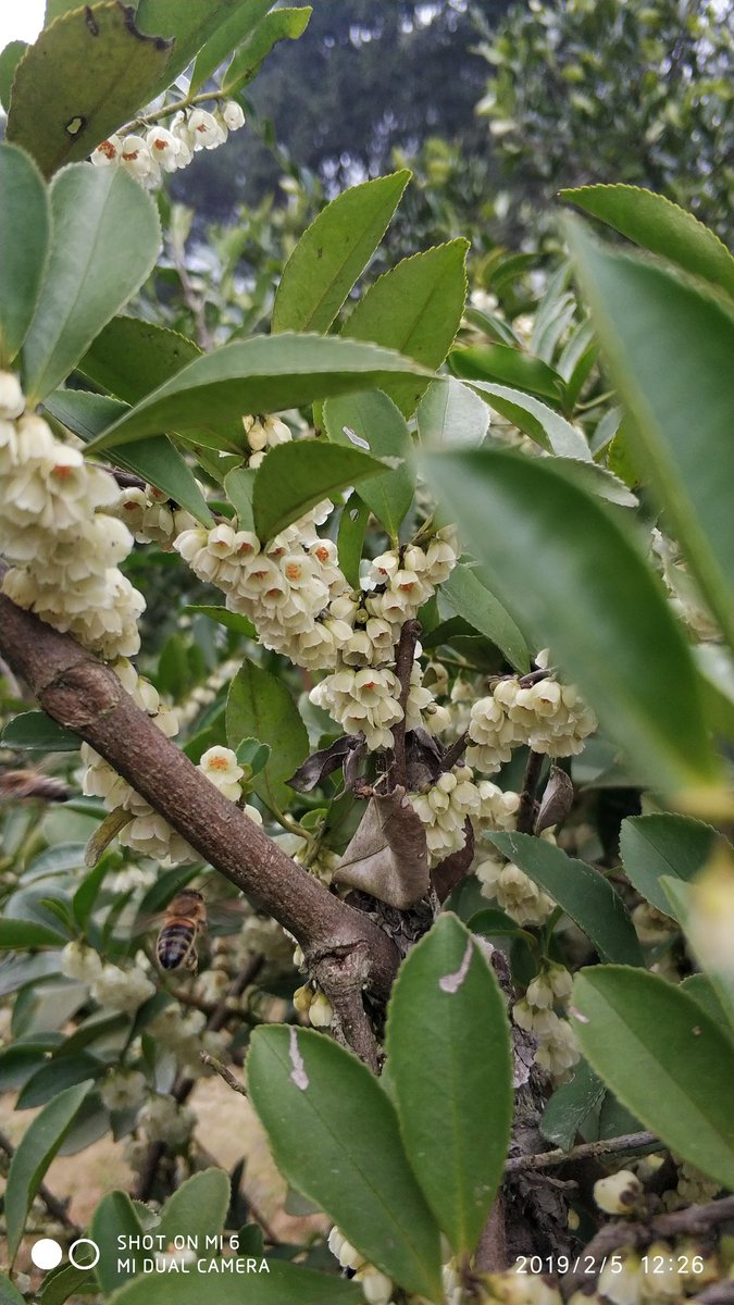 黎明的光 tweet media