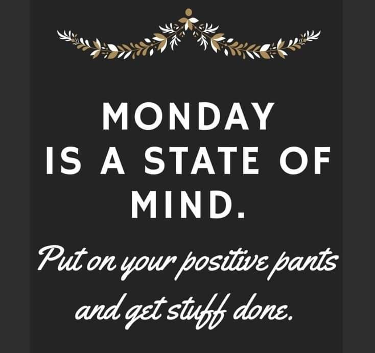 sfreemanauthor's tweet photo. Monday is a state of mind.
#stephaniemfreeman #positiveenergy #quoteoftheday #mondaymotivation #nktribecalledsuccess https://t.co/yXi0cDqMiP