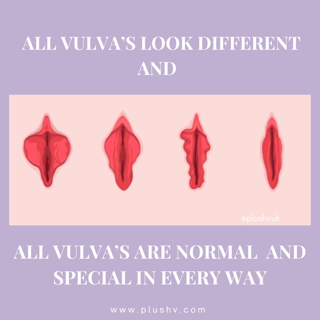 plushvuk's tweet photo. 𝐇𝐚𝐯𝐞 𝐲𝐨𝐮 𝐞𝐯𝐞𝐫 𝐥𝐨𝐨𝐤𝐞𝐝 𝐚𝐭 𝐲𝐨𝐮𝐫 𝐕𝐮𝐥𝐯𝐚 𝐢𝐧 𝐭𝐡𝐞 𝐦𝐢𝐫𝐫𝐨𝐫?
What did you think? We hope you admired her and said she was beautiful 😏 

All Vulva’s come in different shapes, sizes, and appearance but They are all NORMAL https://t.co/idfeiy3nat