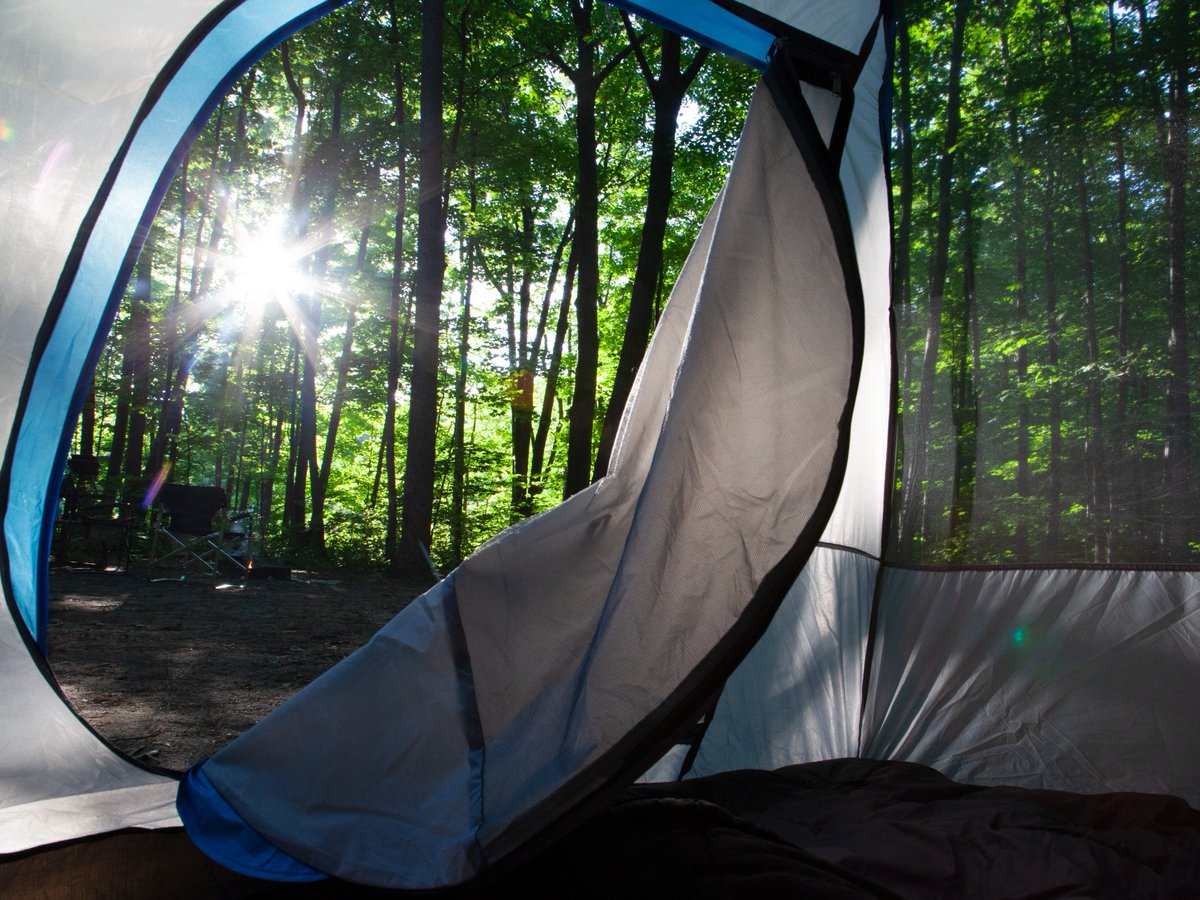Sandbanks Provincial Park tweet media