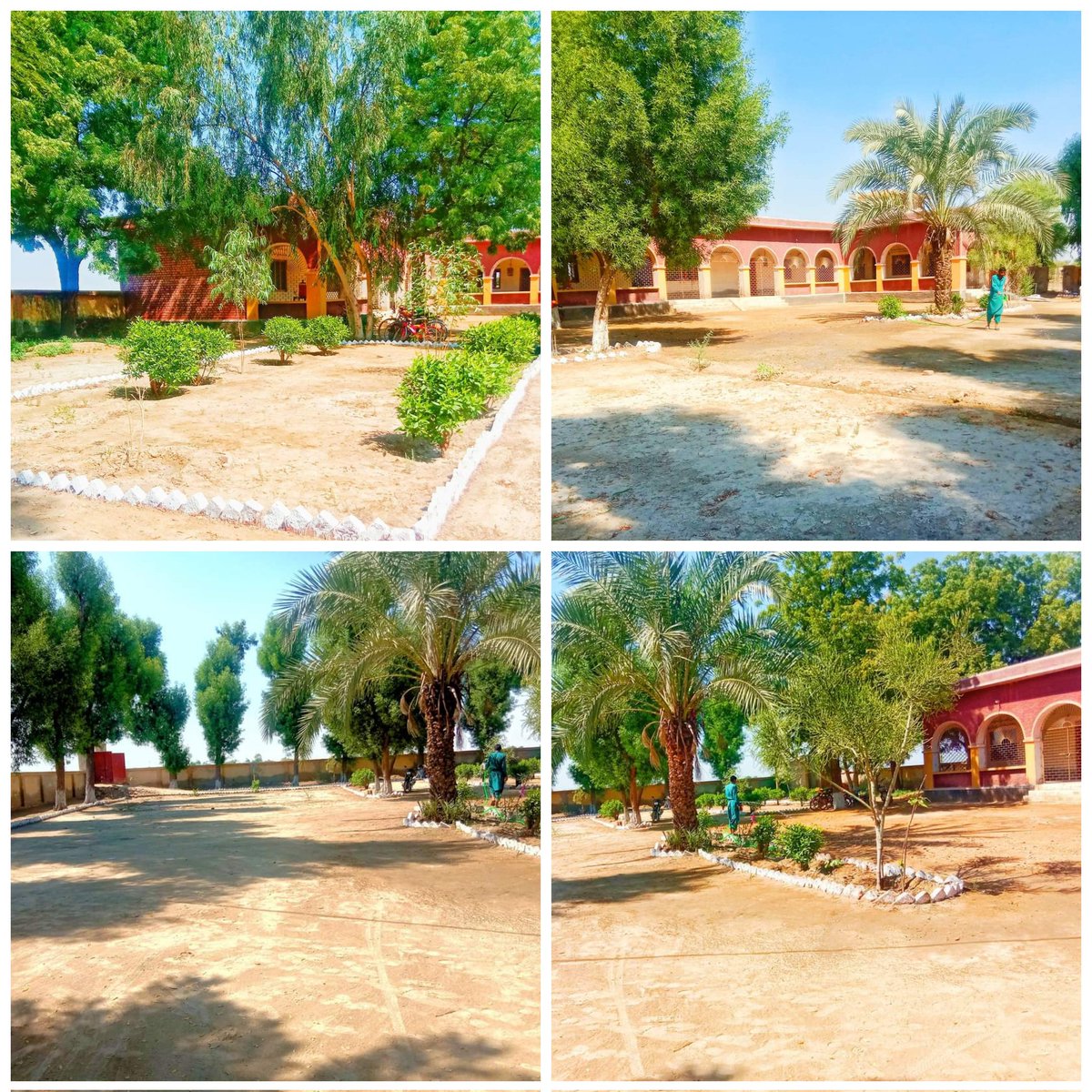 سنڌ ـ اسڪول ۽ تعليم
جڏهن توھان سڀ گڏجي اسڪول جي بھتري لاء اٿو ٿا ن جنگل ۾ ب منگل ٿيو پوي ـ
 گورنمينٽ  ھاء اسڪول ڳوٺ عالم خان زرداري ضلعو سانگھڙ
ادا ذولفقار علي کي سلام جنهن ڳوٺ جي وڏن وٽ وڃي اسڪول  ۽ تعليم جو احساس ڏياريو