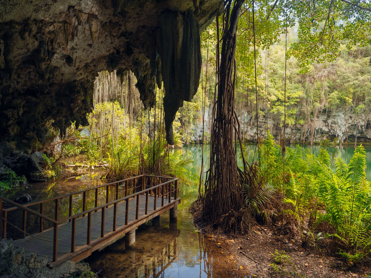 OTRep_Dom's tweet photo. Connaissez-vous Los Tres Ojos à #SaintDomingue ? Il s’agit d’un ensemble de cenotes situé à quelques kilomètres du centre historique 😍

Notre conseil : prendre la petite barque souterraine qui vous transportera vers un magnifique #cenote luxuriant 🌿💦

Y êtes-vous déjà allé ? https://t.co/6n4mU7eetj