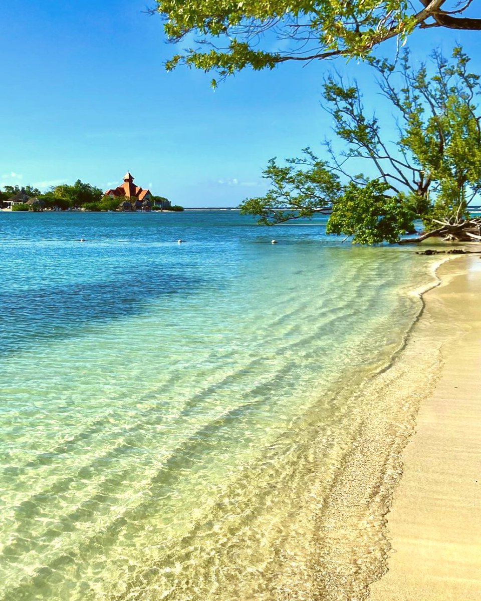 RiuHoteles's tweet photo. 😌 Can you imagine waking up and taking a swim on this peaceful beach? 🌊 Come to Riu Reggae and live blissful moments, just as "andbeaste" did 🏝️https://t.co/pXZNoJ6OiE

#jamaica #montegobay #riureggae https://t.co/8gu2vSjXUg