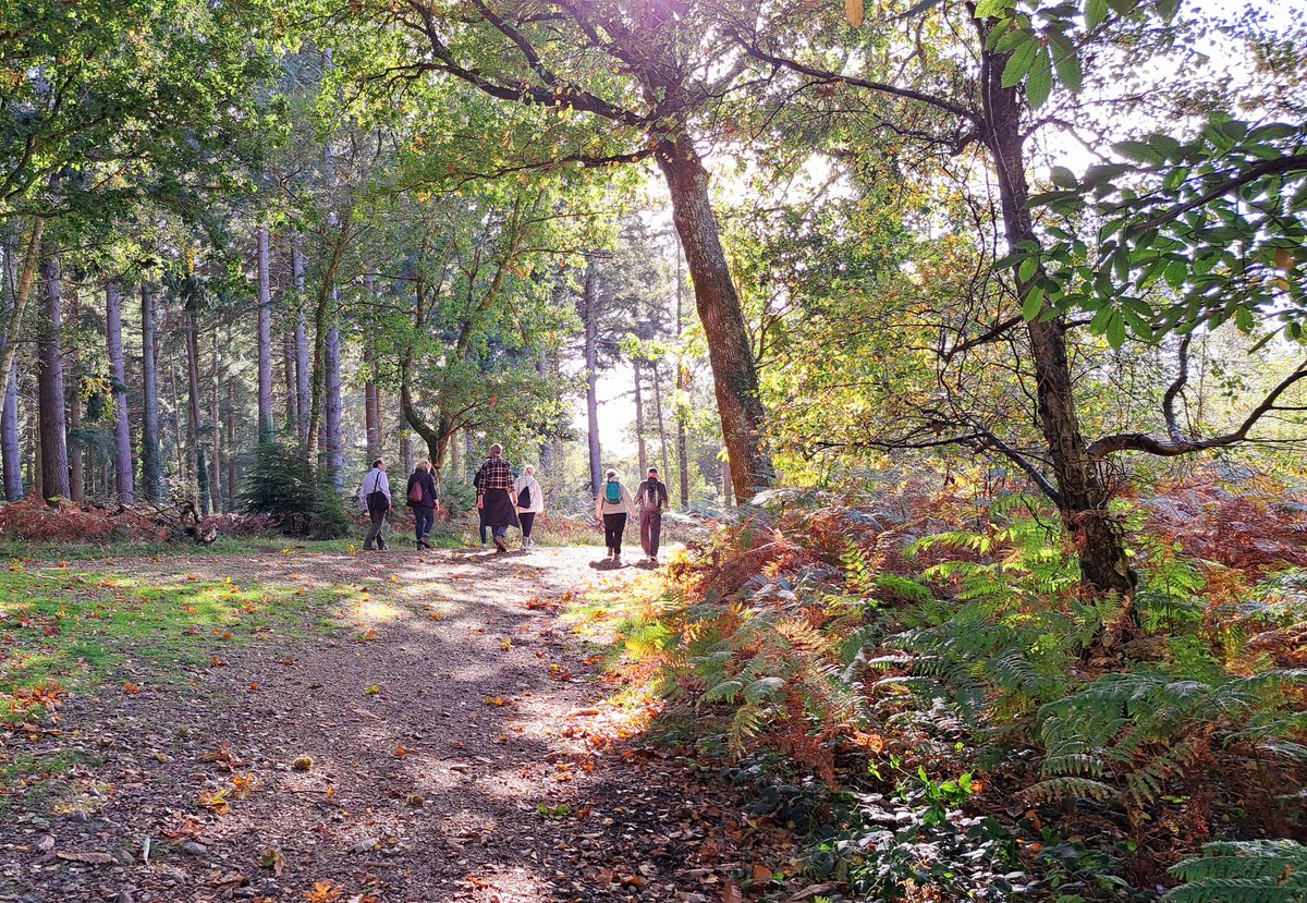 newforestranger's tweet image. A stunning day for our #NewForest Walking Festival guided walk in Sway &amp;amp; Setthorns with @NewForestNPA member @setarling. Other walks with rangers are available during the Festival so sign up now!