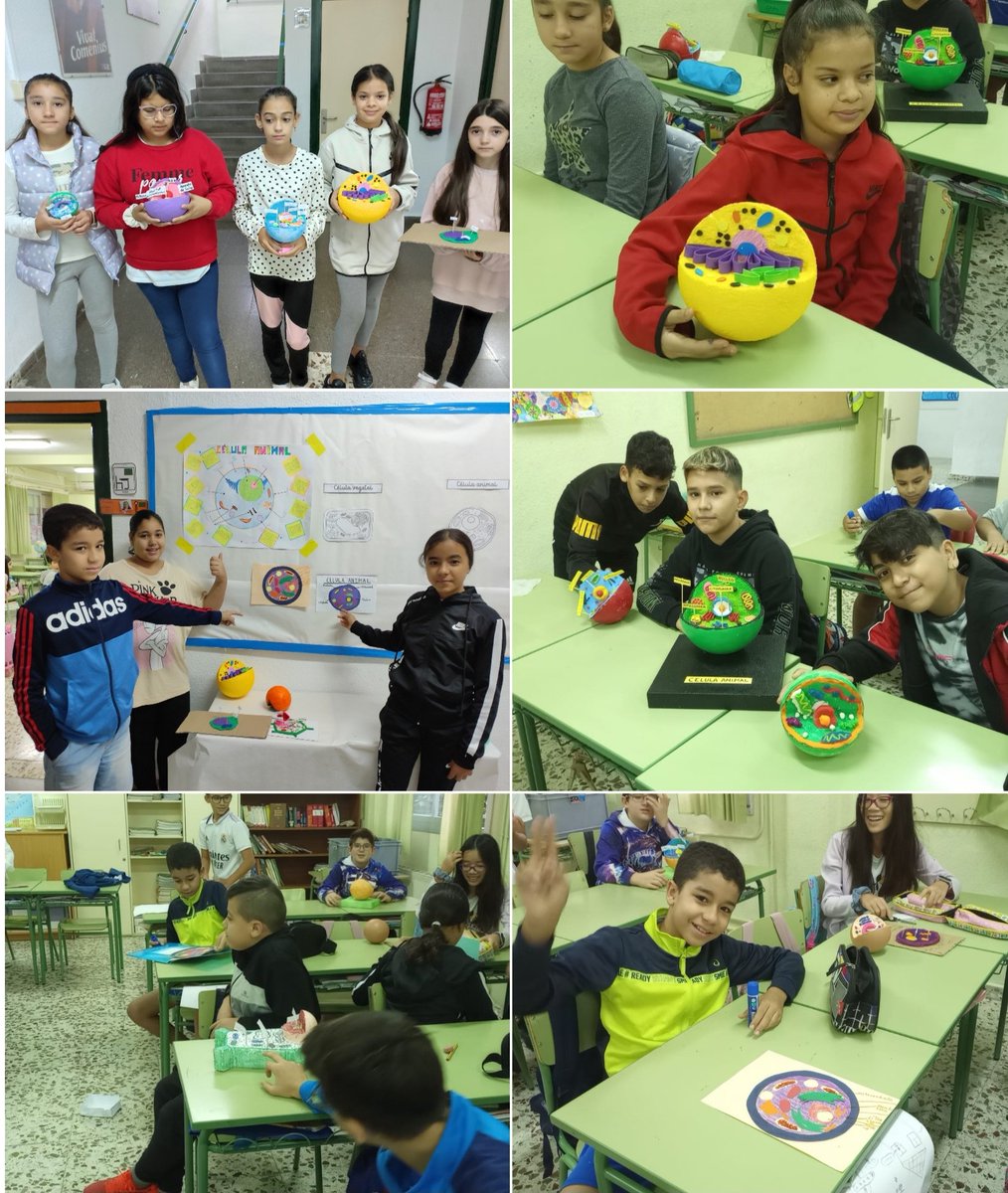 CeipSanAntonio's tweet photo. @educamolina @Maribelsm15 @Isabelsm3 @Isabelgadea @innovaedum @EscuelasActivas @PlenaMurcia @DEPORTEYSALUD4 @AuroraRS2 @Hospital_Molina @EERRMolina @Astrapace @AstradeRMurcia @CPRRegionMurcia @iborra_g @ProgramasRM @AytMolinaSegura @jaortegagarcia https://t.co/GJZrPVQjvT