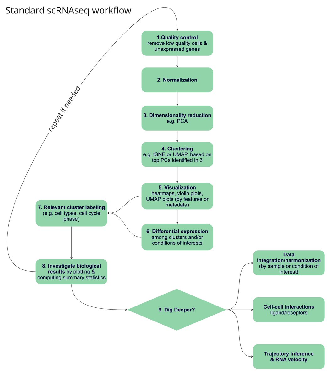 I am often asked by scientists across fields for advice &amp; resources on how to get started with #scRNAseq analyses

I summarize here such an analysis into a flowchart with 9 core steps.

Analyzing your own scRNAseq data today is more accessible than ever

And it gets even easier🧵