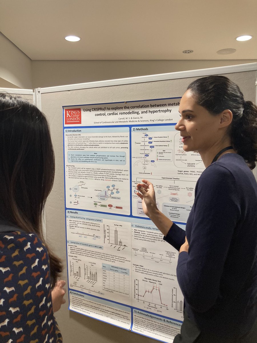Did you check this poster today at the BHF symposium? Don’t get tricked : Melissa might be a quiet one … but her science talks a lot! #phdlife @GiaccaMauro @Kings_BHFCentre @TheBHF @kingscardio