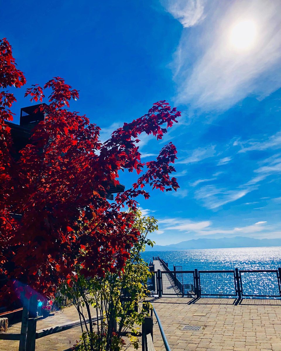 ZasLakefront's tweet photo. Cheers to the Fall/Summer weather we’ve been having! Enjoy Za’s daily starting at 11:30! 
https://t.co/Zf0XoOkae6
#zaslakefront #tastybites #liquiddelights #awesomesights #fallsunshine https://t.co/OPr1y8SzY4