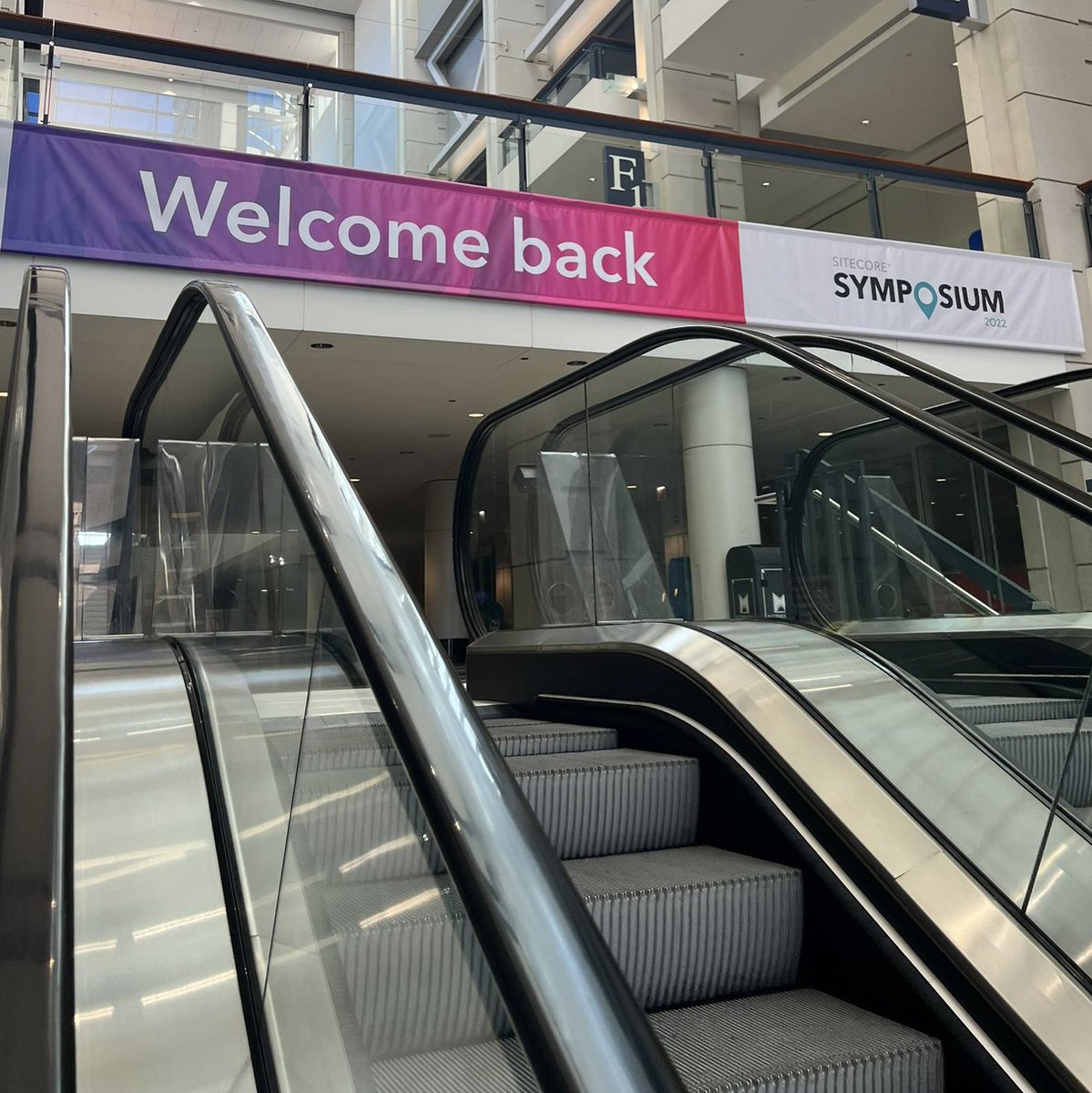Sitecore's tweet photo. Welcome baaaaackkkk everyone!😝 What are you most looking forward to at #SitecoreSYM 2022? #Sitecore 

Comment below 👇👇 https://t.co/xpSb3rCArT